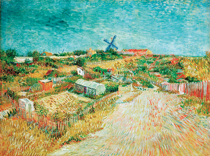  文森特·威廉·梵高  Vincent Willen Van Gogh —— 蒙马特的蔬菜园 (1)